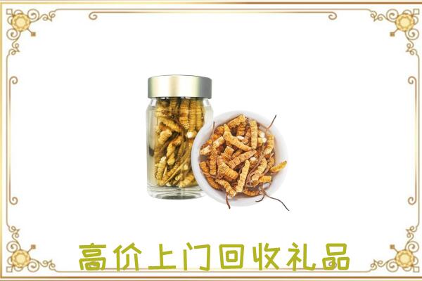 漳州周边回收虫草